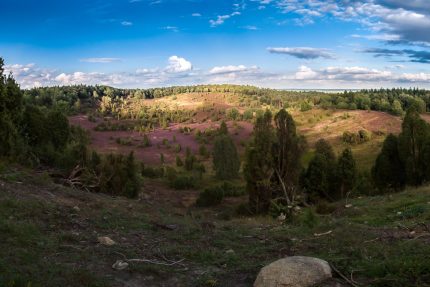 Lüneburger Heide