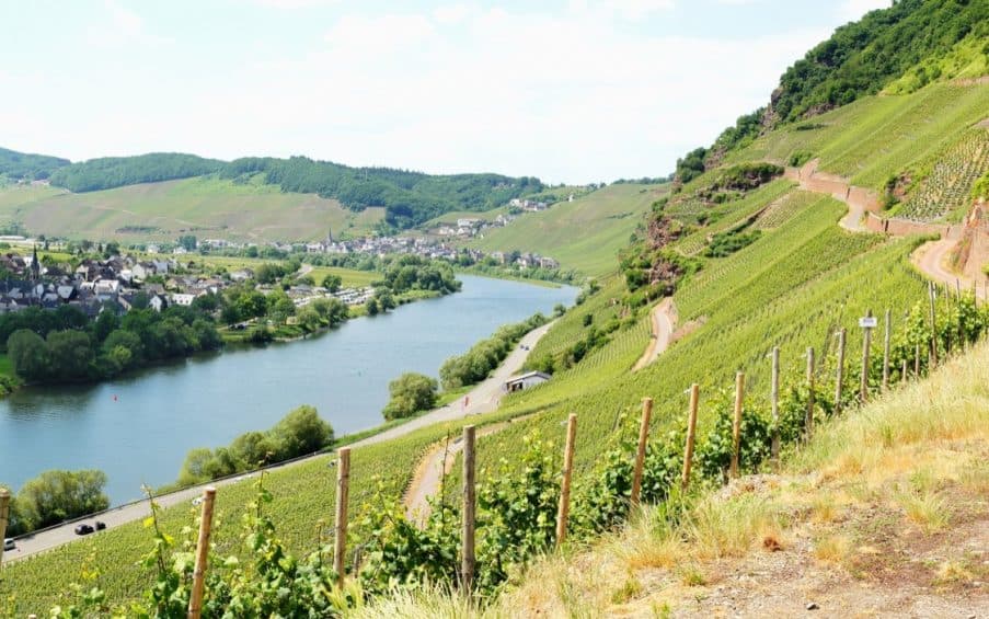 Mosel
