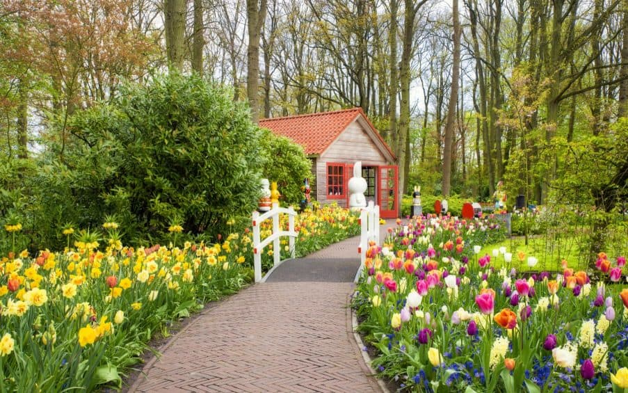 Tulpenschau Amsterdam Keukenhof